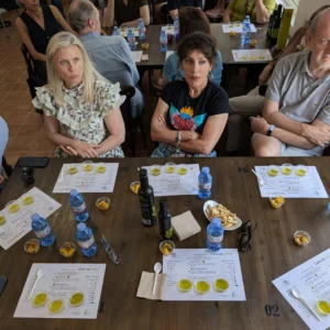 Jornada de Oleoturismo en Jaén